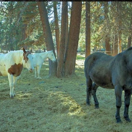 Worldmark Bend Seventh Mountain Resort - 1Bd Sleep エクステリア 写真